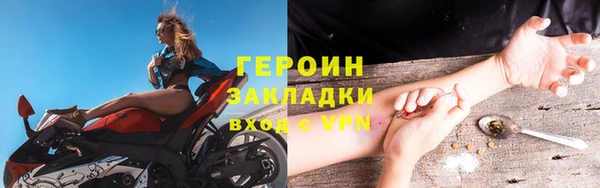 мдпв Гусев