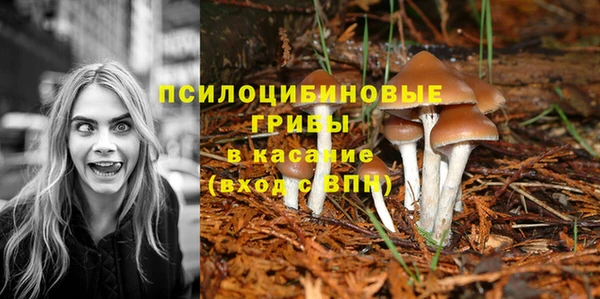 крисы Абинск