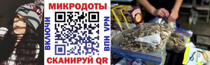 закладка  Кимовск  Галлюциногенные грибы мухоморы 